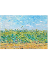 Van Gogh Wheatfield with a Lark - Art Print